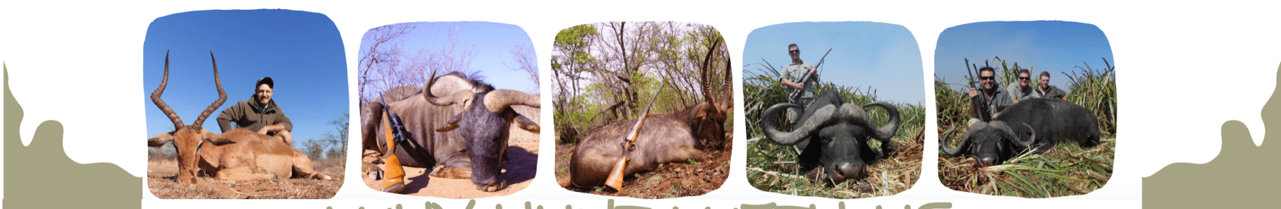 Hunting image strip cropped from the Canva reference
